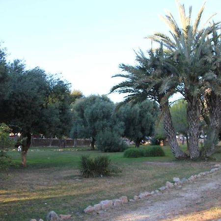 Tesoro Del Eden Lejlighed Torrevieja Eksteriør billede